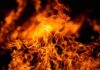 Close up of vibrant flames against a dark background