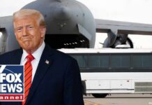 Judge orders return of alleged MS-13 gang member to the