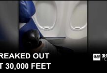 Humanoid robot’s Southwest flight sparks instant airline policy change