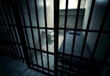 Pandemic Fraud Case Ends in Staggering 41-Year Sentence Interior view of a prison cell with a bed and metal bars