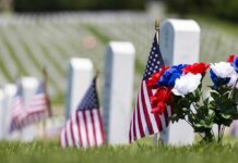 Incredible Operation: Old Guard’s Memorial Day Mission American flags and flowers placed at graves in a cemetery