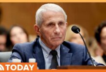 Pardon Twist Ignites Fauci Showdown Anthony Fauci Invokes Fifth Amendment at Heated Senate Hearing