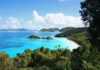 Epstein Island Walkthrough Drops Jaws Scenic view of a tropical beach with clear blue water and lush greenery