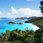 Epstein Island Walkthrough Drops Jaws Scenic view of a tropical beach with clear blue water and lush greenery