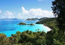 Epstein Island Walkthrough Drops Jaws Scenic view of a tropical beach with clear blue water and lush greenery
