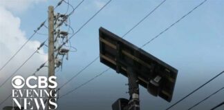 Privacy groups raise red flags over police misuse of Flock cameras