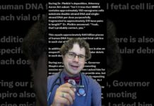 RFK Jr. Presses MMR Origin Mystery Governor Shapiro calls out RFK Jr. #publichealth #vaccine #doctor