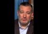 Sen. Ted Cruz comments on possible 2028 presidential run