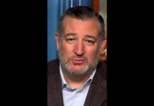 Trump-Cruz Alliance: Will He Run in 2028? Sen. Ted Cruz comments on possible 2028 presidential run