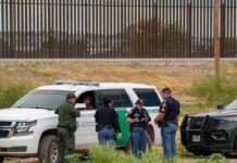 Border Patrol Doppelgängers Run Wild law enforcement officers confer beside patrol vehicles near a border fence