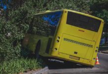 LA Bus Horror Sparks Murder Charges yellow bus crashed into roadside bushes