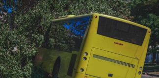 yellow bus crashed into roadside bushes