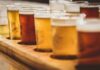 Regulators Pounce – Anti-Trump Brewery Cornered beer flight with assorted tasting glasses on a wooden tray