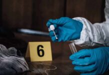 Ted Bundy DNA Twist Closes 1974 Murder Forensic investigator with blue gloves collecting evidence at a crime scene