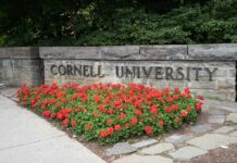 Cornell Slams Brakes On Frat Parties Cornell University stone sign with red flowers