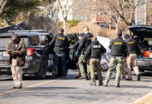 Deadly Hit-And-Run Rocks LSU Night Police and sheriff officers gather around vehicles on a suburban street
