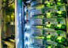 Cross-Border Outages After Yandex Blasts Server rack with network cables and glowing indicator lights